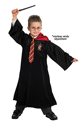 Rubies - Harry Potter Officiel - Kit dAccessoires Harry Pott