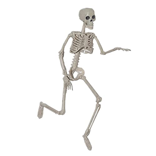 freneci 15cm Mini Figurine de Squelette, Modèle de Squelette