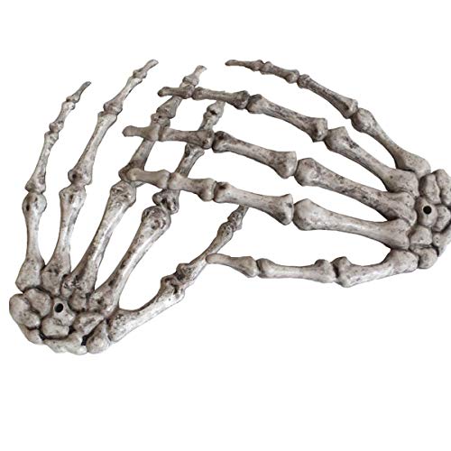 XONOR Mains squelettiques de Halloween - Mains Squelette en 