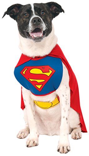 Rubis Officielle, Superman Pet Costume pour Chien, Taille XL