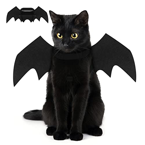 déguisement halloween chien chat,deguisement pour chat costu