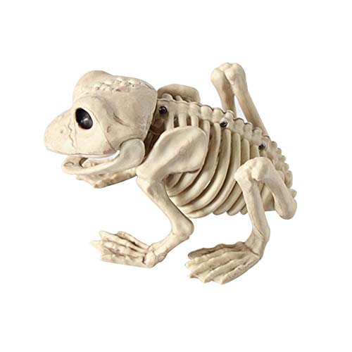 Symboat Animal Squelette Modèle Chauve-Souris/Grenouille/Os 