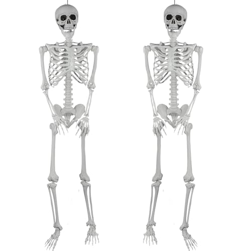 Squelettes Humains dhalloween 165cm Grandeur Nature avec art
