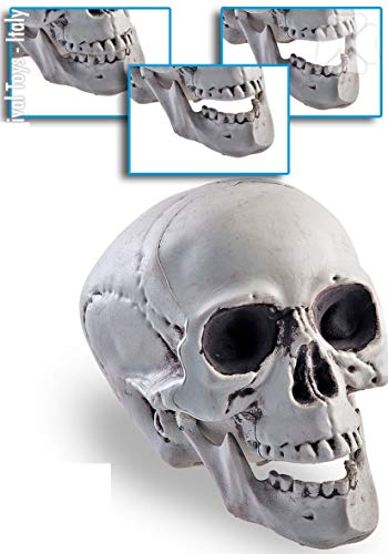 Crâne, tête de mort en plastique mandibule articulée Hallowe