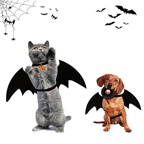 Costume pour Chat Halloween, Ailes de Chauve-Souris de Chat,