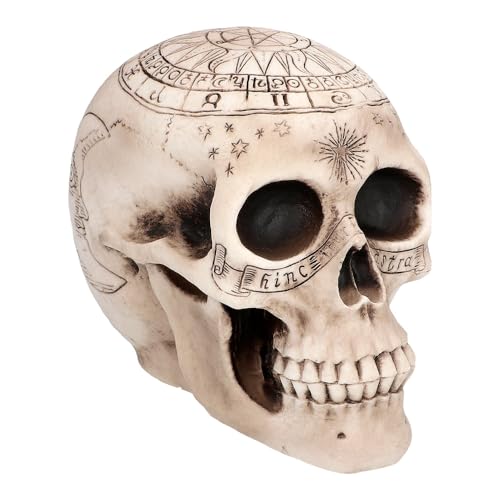 Boland 73081 - Déco tête de mort squelette, 20 cm, Figurine 