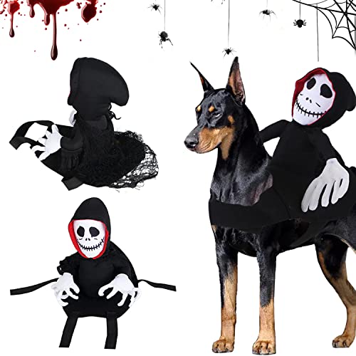 Halloween Pet Dog Costume, Vêtements Chien Halloween, Rider 