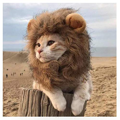 EONAZE Lion Mane Costume pour Chats, Chat Costume pour Anima