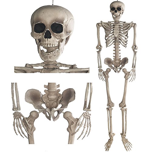 GOODS+GADGETS Décoration Squelette 160 cm - Décoration de fê