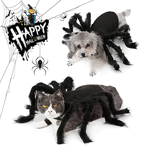 Costume de Chien de Araignée Halloween, Vêtements pour Anima