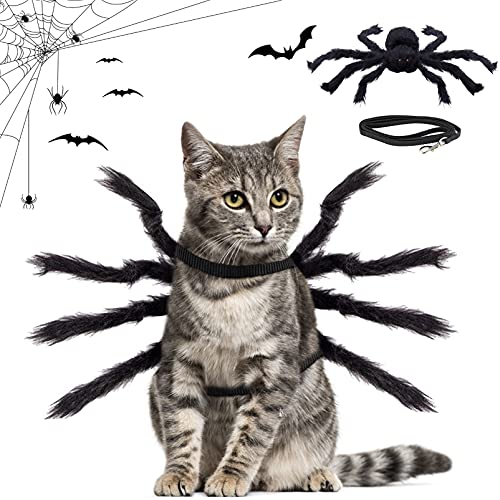 Costume de Chien de Araignée Halloween,Costume Araignée Chat