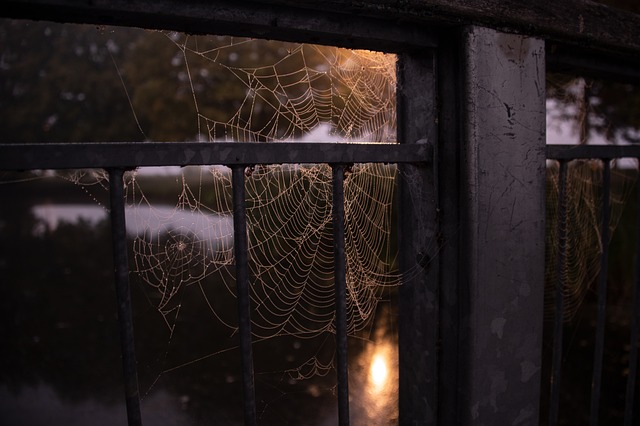 galerie photo